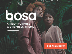 bosa-agency-ads=banner